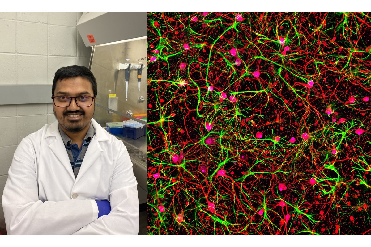 Md Saddam Hossain with his winning research image: Time under tension