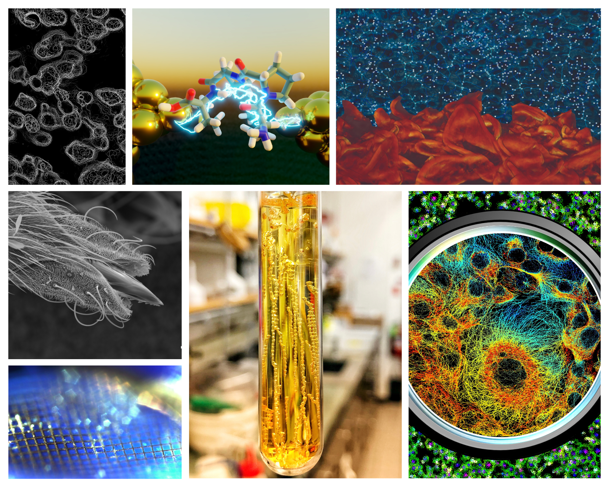 Collage of the 2024 Research Image Contest winning images.