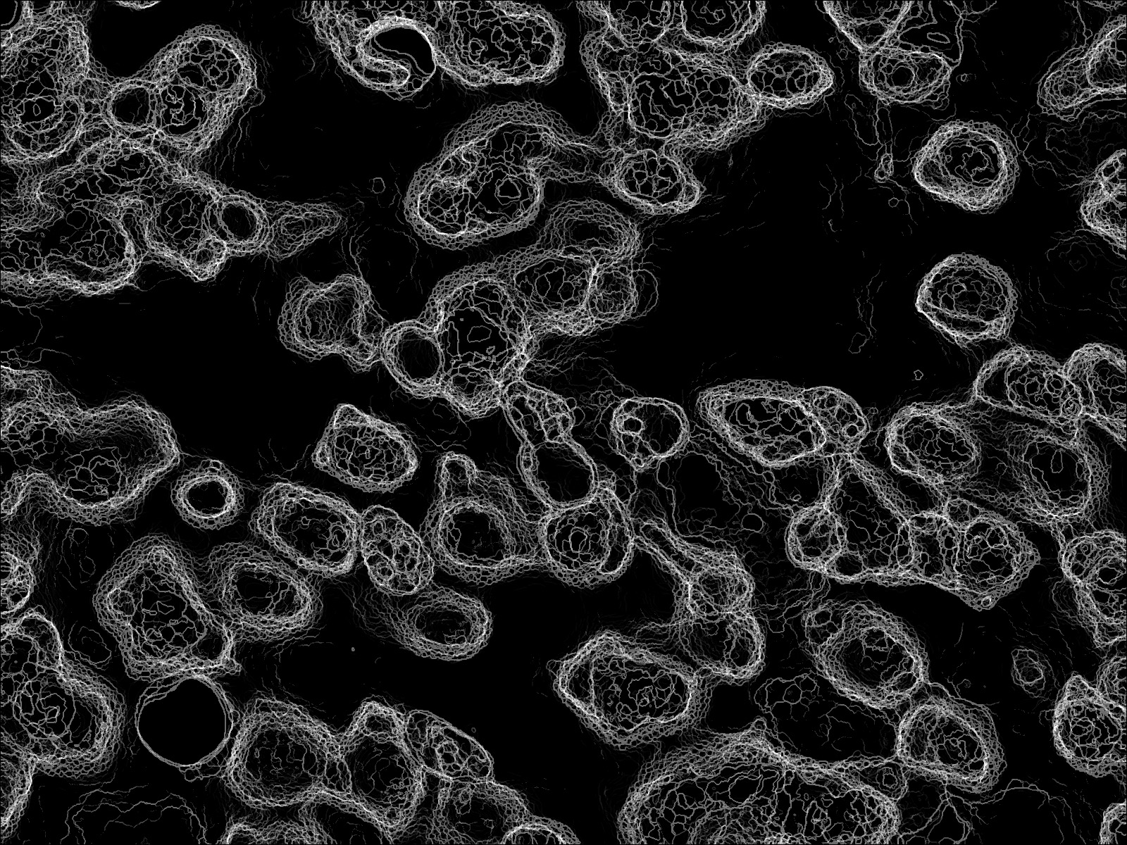 Cellular landscape of the mammal brain. Credit: Dan Miller