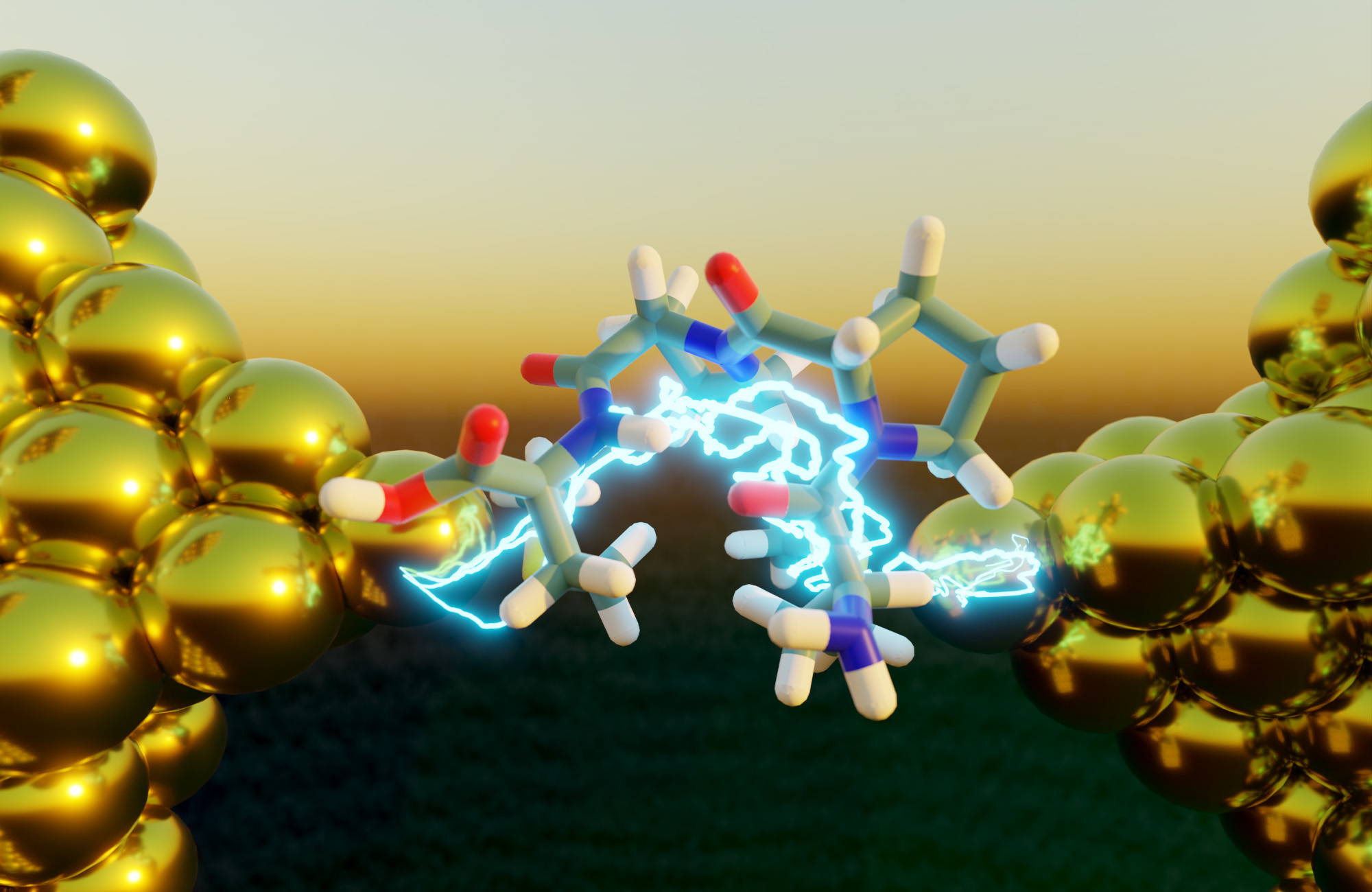 Electron transport, the energy-generating process inside living cells that enables photosynthesis and respiration, is enhanced in peptides with a collapsed, folded structure. 