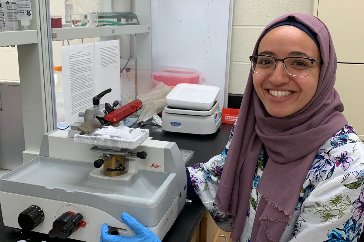 Student researcher works in a lab at the Beckman Institute.